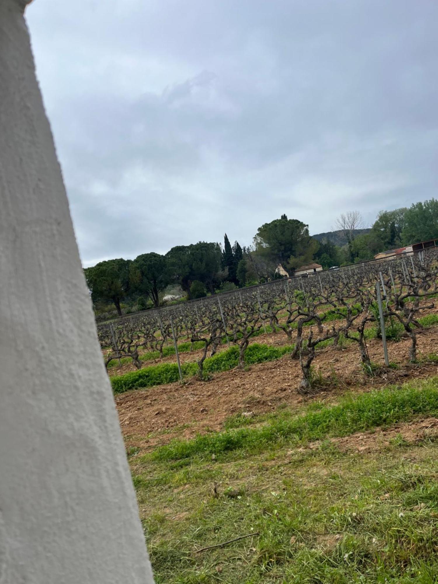 Appartement Avec Piscine Au Milieu Des Vignes Les Arcs-sur-Argens Exterior photo